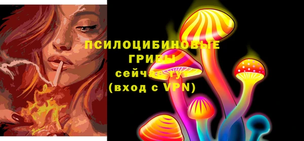 Альфа ПВП Михайловск