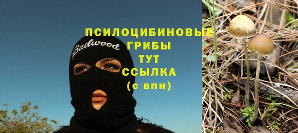 СК Покачи