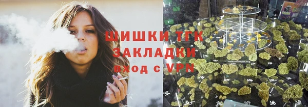 спайс Богданович