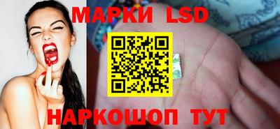 spice Аргун