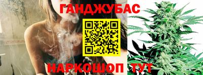 spice Аргун