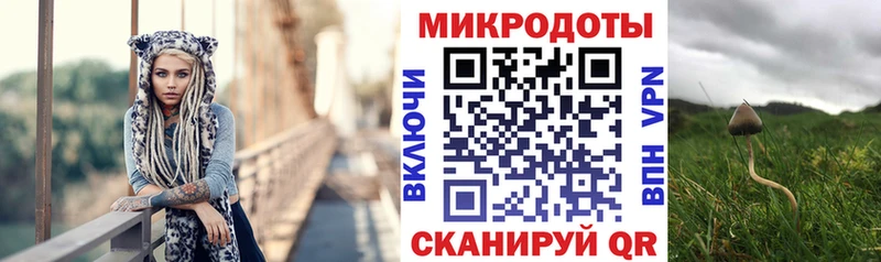 где найти   kraken рабочий сайт  Галлюциногенные грибы GOLDEN TEACHER  Бердск 