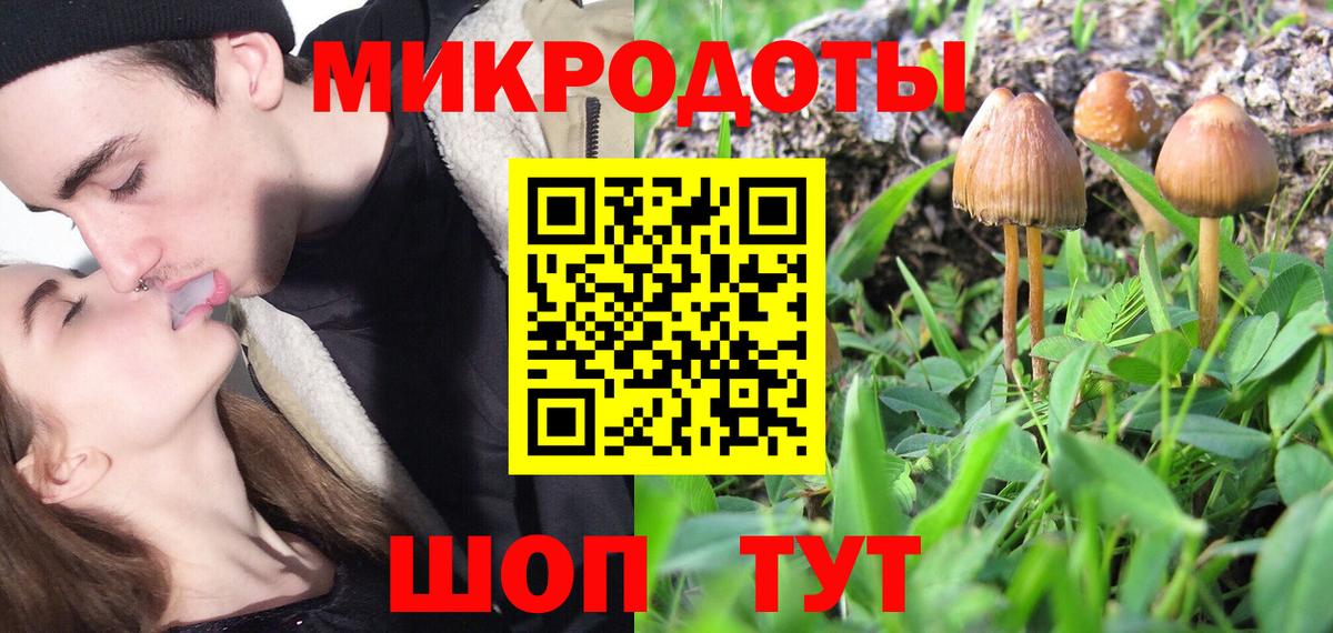 Галлюциногенные грибы Psilocybe Бердск