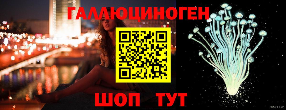 Псилоцибиновые грибы мухоморы  магазин  наркотиков  Псилоцибиновые грибы мицелий  Бердск  Вход с VPN 